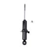 Suspension Strut - image 1