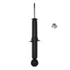 Suspension Strut - image 1