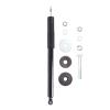 Suspension Strut - image 1