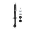 Suspension Strut - image 1