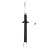 Suspension Strut - image 1