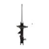 Suspension Strut - image 1