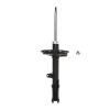 Suspension Strut - image 1