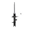 Suspension Strut - image 1