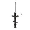Suspension Strut - image 1