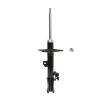 Suspension Strut - image 1