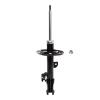 Suspension Strut - image 1