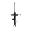 Suspension Strut - image 1