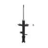 Suspension Strut - image 1