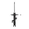Suspension Strut - image 1