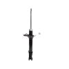 Suspension Strut - image 1