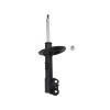 Suspension Strut - image 1