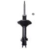 Suspension Strut - image 1