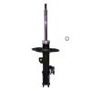 Suspension Strut - image 1