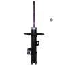 Suspension Strut - image 1