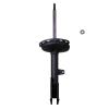 Suspension Strut - image 1