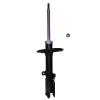 Suspension Strut - image 1