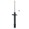 Suspension Strut - image 1