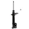 Suspension Strut - image 1