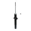 Suspension Strut - image 1