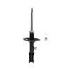 Suspension Strut - image 1