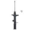 Suspension Strut - image 1