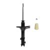 Suspension Strut - image 1