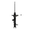 Suspension Strut - image 1