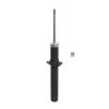 Suspension Strut - image 1