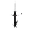 Suspension Strut - image 1