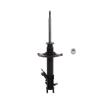 Suspension Strut - image 1