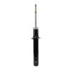 Suspension Strut - image 1