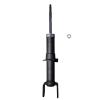 Suspension Strut - image 1