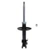 Suspension Strut - image 1