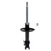 Suspension Strut - image 1