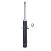 Suspension Strut - image 1