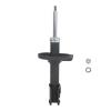 Suspension Strut - image 1