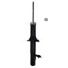 Suspension Strut - image 1
