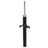 Suspension Strut - image 1