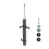 Suspension Strut - image 1