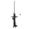 Suspension Strut - image 1