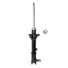 Suspension Strut - image 1