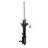 Suspension Strut - image 1