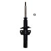 Suspension Strut - image 1