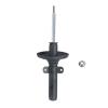 Suspension Strut - image 1