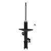 Suspension Strut - image 1