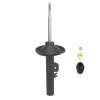 Suspension Strut - image 1