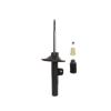 Suspension Strut - image 1