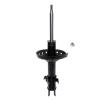 Suspension Strut - image 1