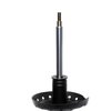 Suspension Strut - image 2